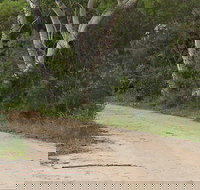 Riverview walking track - Accommodation Coffs Harbour