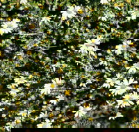 Round Tank Picnic Area - Accommodation Coffs Harbour
