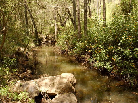 Sandy Creek Track - Accommodation Coffs Harbour 0