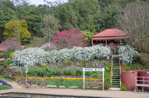 Spring Bluff Railway Station - Accommodation Coffs Harbour 1