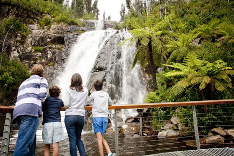 Steavenson Falls - Accommodation Coffs Harbour 0