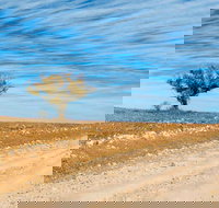 Sturts Steps Touring Route - Accommodation Coffs Harbour