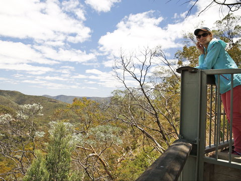 Sundown National Park - Accommodation Coffs Harbour 1