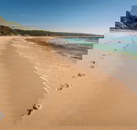 Terrace Beach and Lennards Island - Accommodation Coffs Harbour