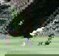 Teven Valley Golf Course - Accommodation Coffs Harbour