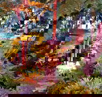 The Fernery at Diamond Waters - Accommodation Coffs Harbour