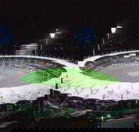 The Gabba - Accommodation Coffs Harbour