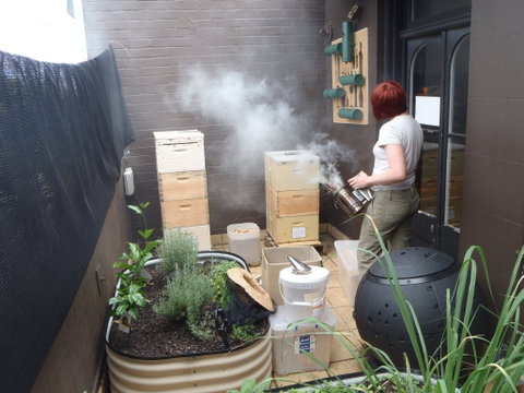 The Urban Beehive Port Botany - Accommodation Coffs Harbour 0