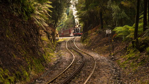 The West Coast Wilderness Way - Accommodation Coffs Harbour 0