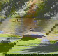 The Lions Junction Park - Tumut - Accommodation Coffs Harbour