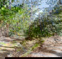 Tip to Tail Trail - Accommodation Coffs Harbour