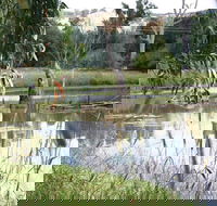 Tumut Wetlands - Accommodation Coffs Harbour