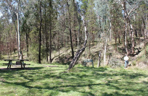 Wallaby Walking Track - Accommodation Coffs Harbour 0