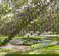 Wollomombi Gorge and Falls Picnic Area - Accommodation Coffs Harbour