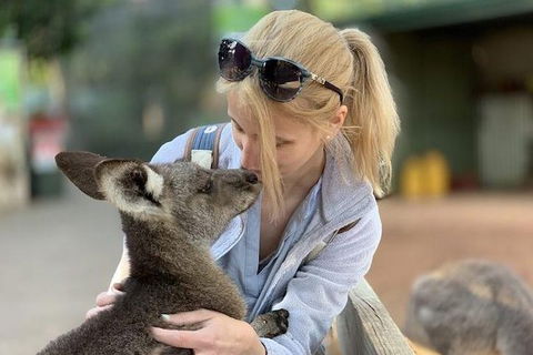 Blue Mountains Supreme Day Tour - Accommodation Coffs Harbour 6