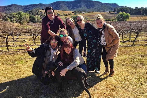 Snapshot Half Day Hunter Valley Wine Tour - Accommodation Coffs Harbour 4