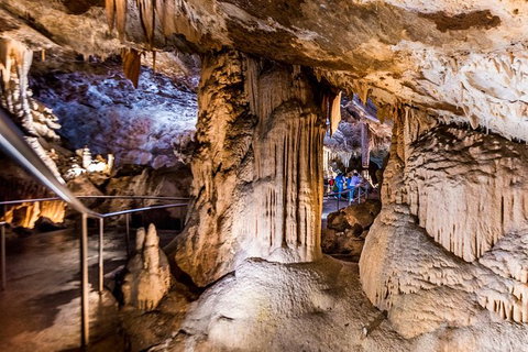 Jenolan Caves: Lucas Cave Tour - Accommodation Coffs Harbour 2
