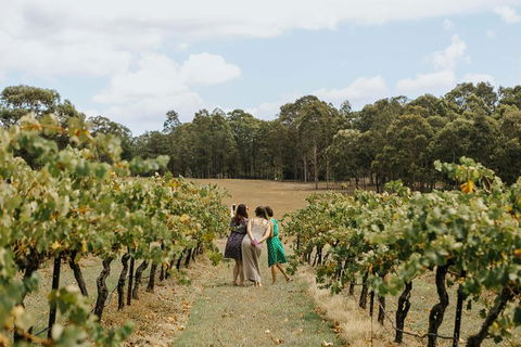 Hunter Valley Premium Food & Drink Pairing Tour - Accommodation Coffs Harbour 5