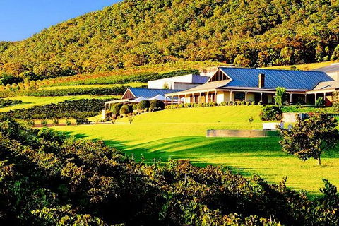 Hunter Express Helicopter Flight - Accommodation Coffs Harbour 4