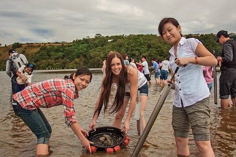 Catch A Crab Tour With Optional Seafood Lunch - Accommodation Coffs Harbour 6