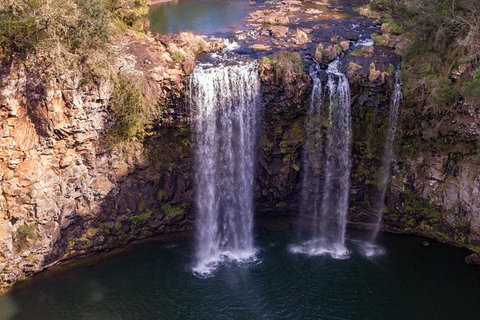 Rainforest & Waterfall Experience - Accommodation Coffs Harbour 1