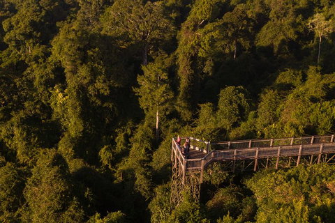 Rainforest & Waterfall Experience - Accommodation Coffs Harbour 5