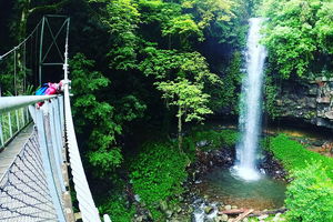 Rainforest & Waterfall Experience