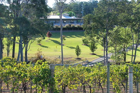 Tulloch Wines - Wine Tasting Paired With Local Handmade Chocolates - Accommodation Coffs Harbour 4