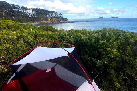 Batemans Bay Overnight Kayak Camping Tour - All Inclusive - Accommodation Coffs Harbour 0