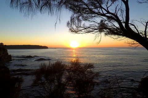 Batemans Bay Overnight Kayak Camping Tour - All Inclusive - Accommodation Coffs Harbour 1