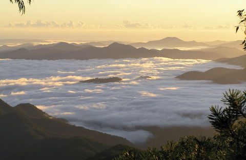 Banksia Point Picnic Area - Accommodation Coffs Harbour 0