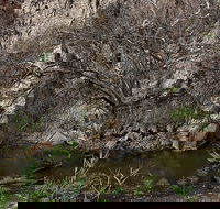 Brisbane Ranges National Park - Accommodation Coffs Harbour