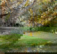 Gateway Island Parklands - Accommodation Coffs Harbour