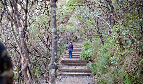 Princes Rock Walking Track - Accommodation Coffs Harbour 0