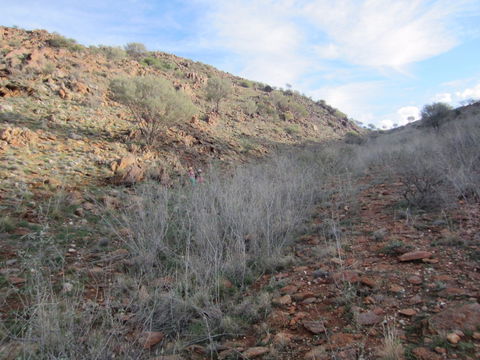 Sundown Nature Trail - Accommodation Coffs Harbour 2