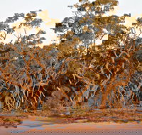 Yawura Yarun - Accommodation Coffs Harbour