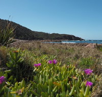 Big Rocky Full Day Guided Walk - Accommodation Coffs Harbour