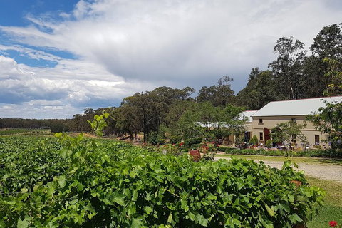 Tintilla Estate: Wine Tasting With A Meat And Cheese Platter - Accommodation Coffs Harbour 5