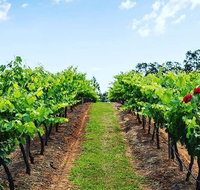 Tintilla Estate Wine Tasting with a Meat and Cheese Platter - Accommodation Coffs Harbour