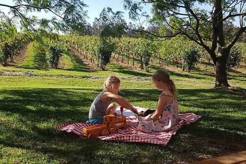 Tintilla Estate: Wine Tasting With A Meat And Cheese Platter - Accommodation Coffs Harbour 2