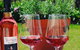 Tintilla Estate: Wine Tasting With A Meat And Cheese Platter - thumb 6