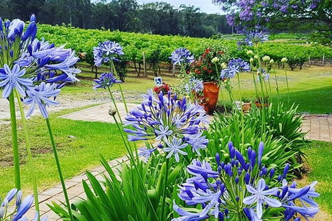 Tintilla Estate: Wine Tasting With A Meat And Cheese Platter - Accommodation Coffs Harbour 4