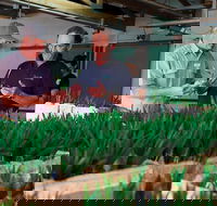 A Taste Of Norfolk - Accommodation Coffs Harbour