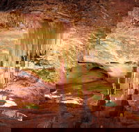 Jenolan Caves Ribbon Cave Tour - Accommodation Coffs Harbour