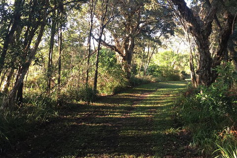 Coffs Harbour To Sawtell Bike Ride - Accommodation Coffs Harbour 7