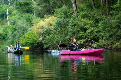 Byron Bay Fish & Feast - Accommodation Coffs Harbour 0