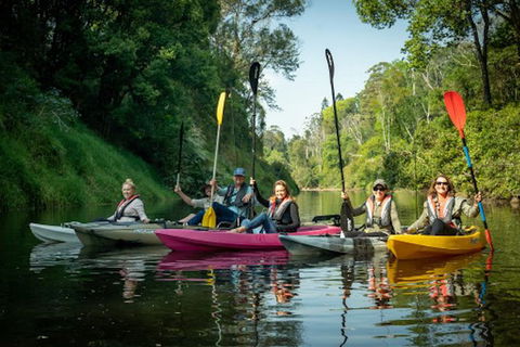 Byron Bay Fish & Feast - Accommodation Coffs Harbour 5