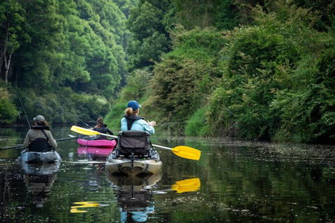 Byron Bay Fish & Feast - Accommodation Coffs Harbour 1