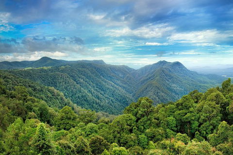 Byron Bay Fish & Feast - Accommodation Coffs Harbour 3