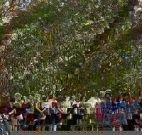 Breakfast Bushwalk Tour in Captain Cook's Monument - Accommodation Coffs Harbour